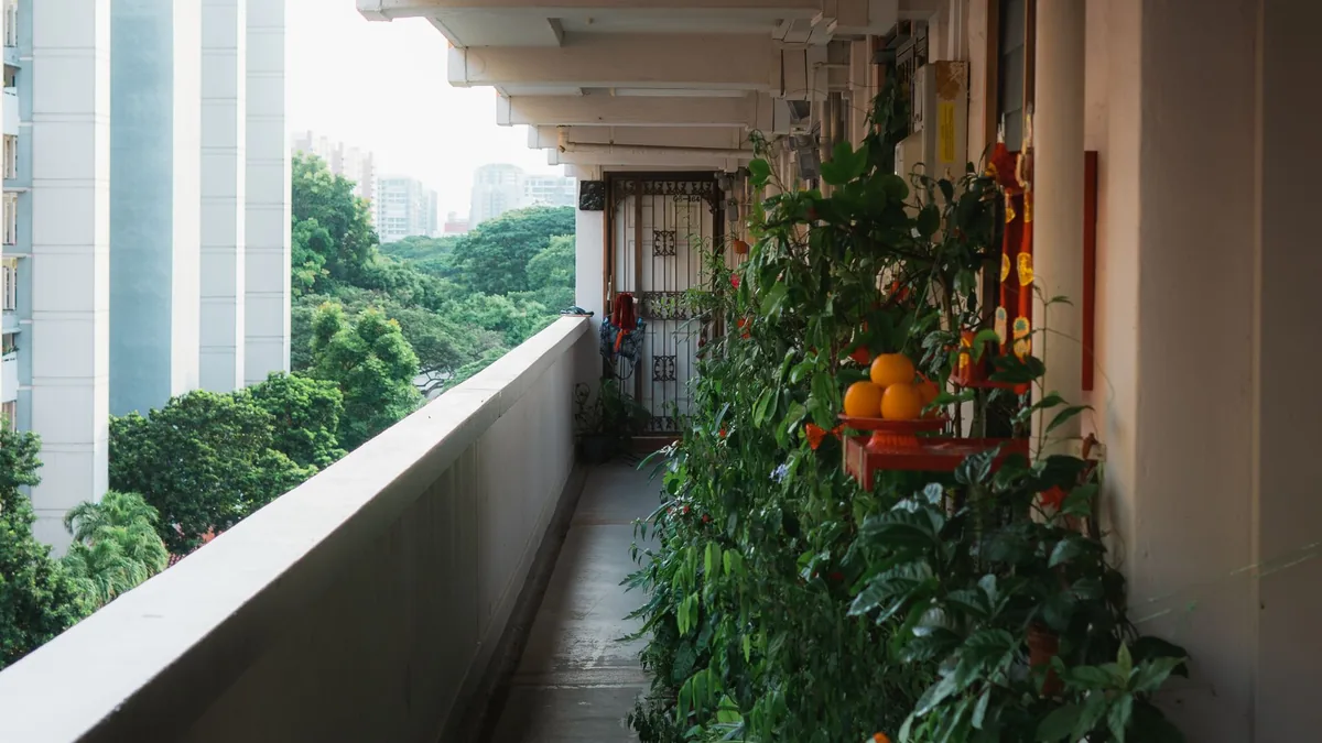 City balcony filled with green plants and vegetables, with tower blocks beyond